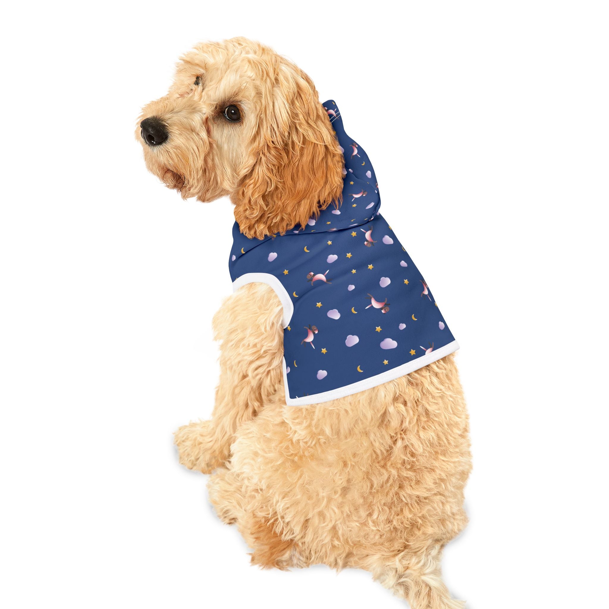 Sky Dog Hoodie